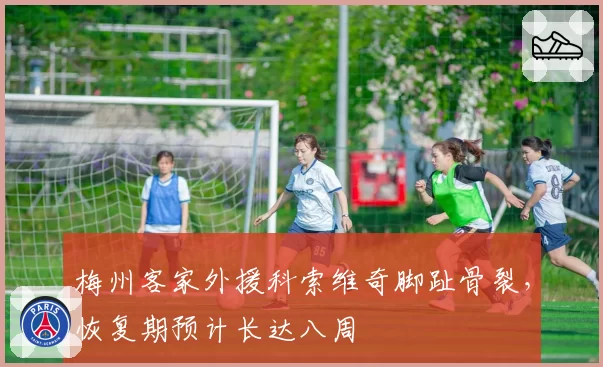 梅州客家外援科索维奇脚趾骨裂，恢复期预计长达八周