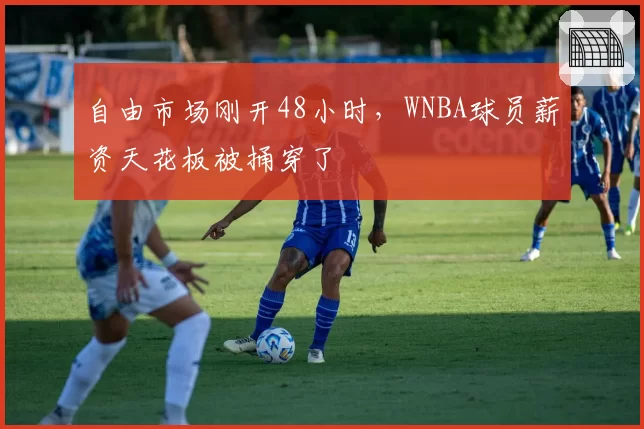 自由市场刚开48小时，WNBA球员薪资天花板被捅穿了