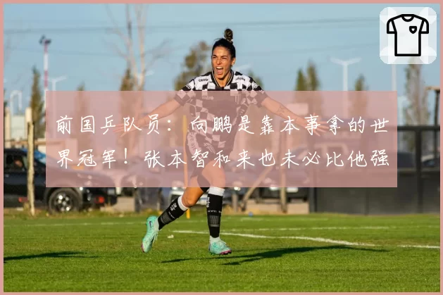 前国乒队员：向鹏是靠本事拿的世界冠军！张本智和来也未必比他强