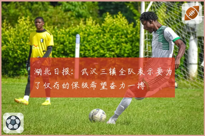 湖北日报：武汉三镇全队表示要为了仅存的保级希望奋力一搏