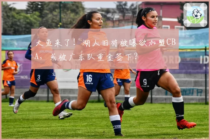 大鱼来了！湖人旧将被曝欲加盟CBA，或被广东队重金签下？