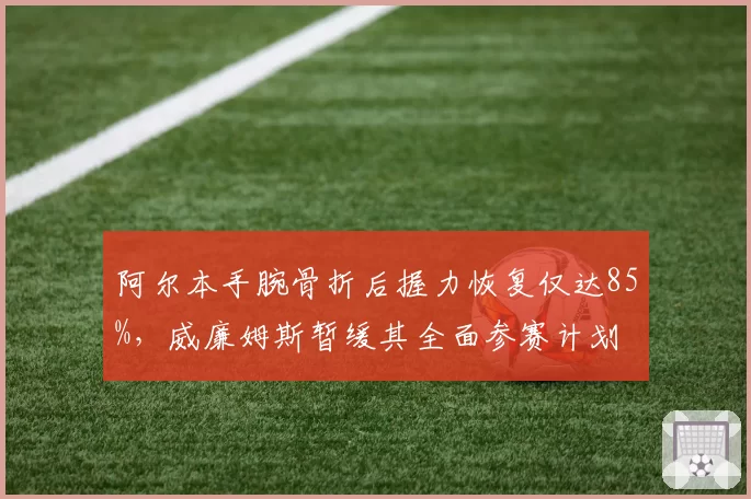 阿尔本手腕骨折后握力恢复仅达85%，威廉姆斯暂缓其全面参赛计划