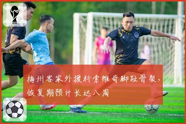 梅州客家外援科索维奇脚趾骨裂，恢复期预计长达八周