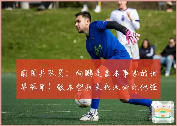 前国乒队员：向鹏是靠本事拿的世界冠军！张本智和来也未必比他强